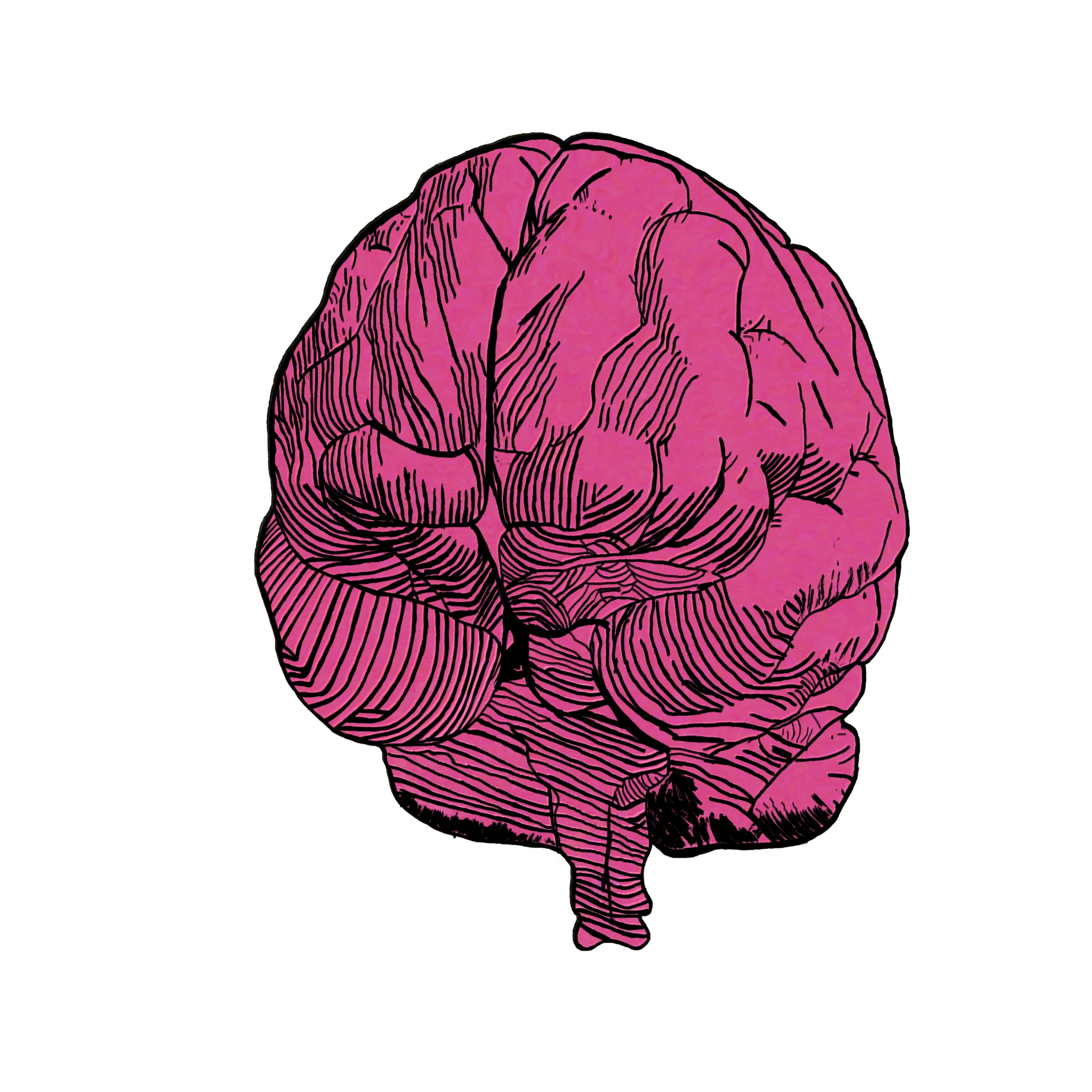 Pink Brain